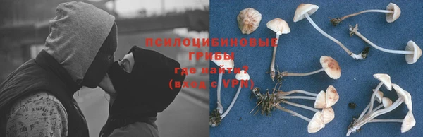 крисы Аркадак