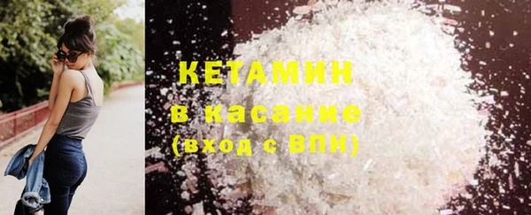 крисы Аркадак
